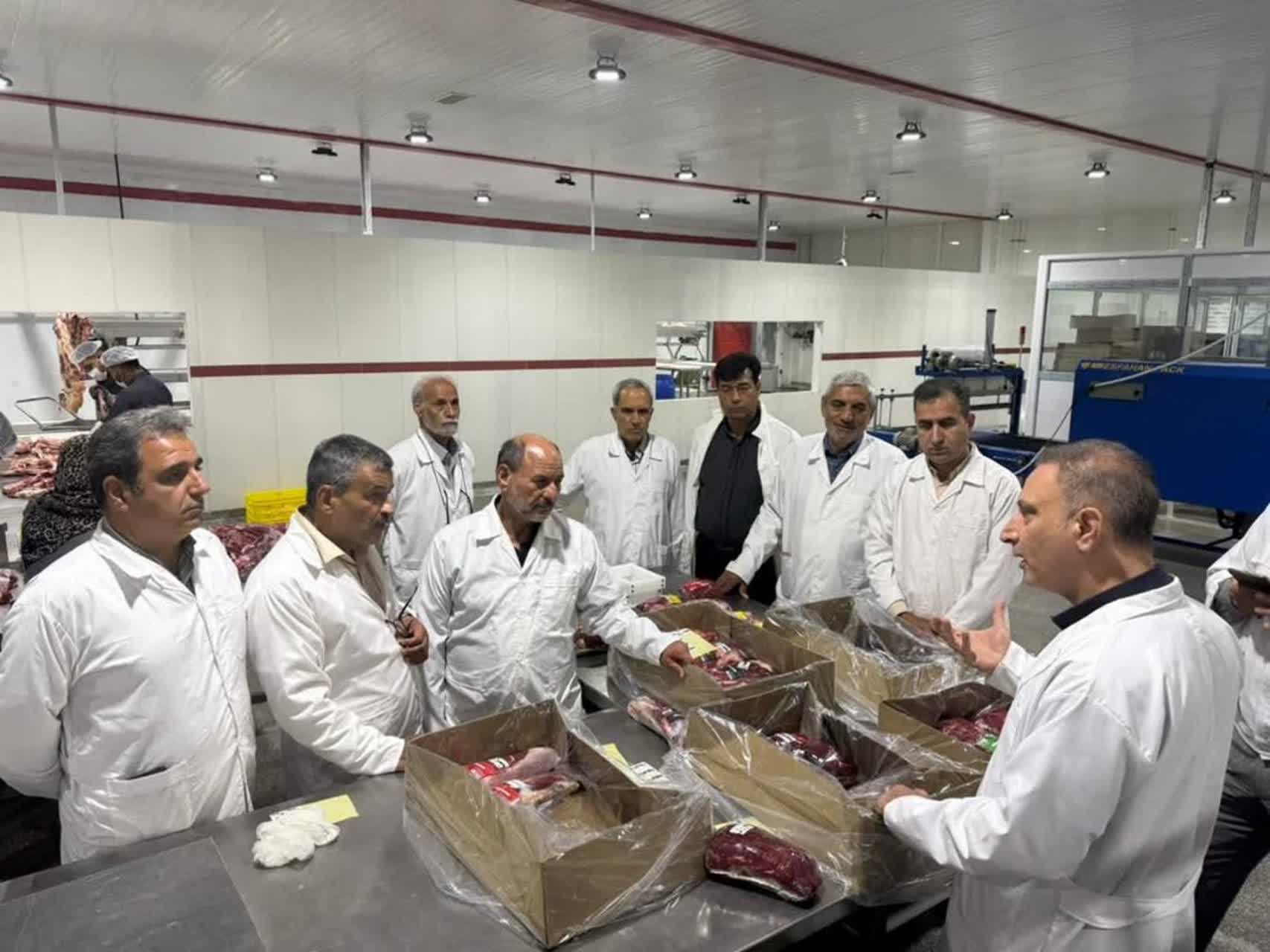 بازدید مدیران اتحادیه دامداران اصفهان از زنجیره تولید «کیمیای وحدت»؛ گامی در جهت تقویت زنجیره تأمین شیر و گوشت استان